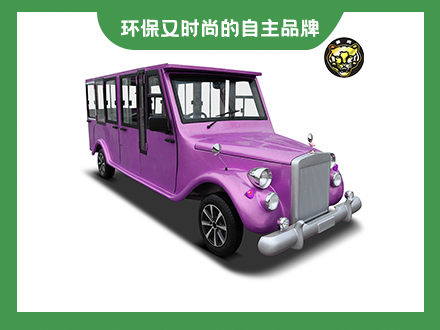 11座封閉老爺車(chē)