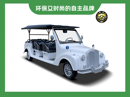 8座電動(dòng)老爺車