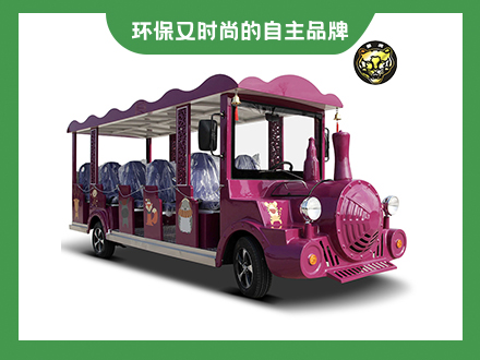 14座電動(dòng)小火車(chē)